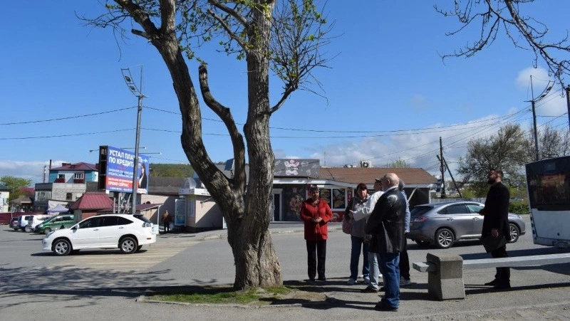 В Корсакове комиссионно обследовали деревья: какие останутся, а какие — подлежат сносу