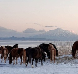 Туманный вулкан Тятя: красивые фотографии с острова Кунашир 