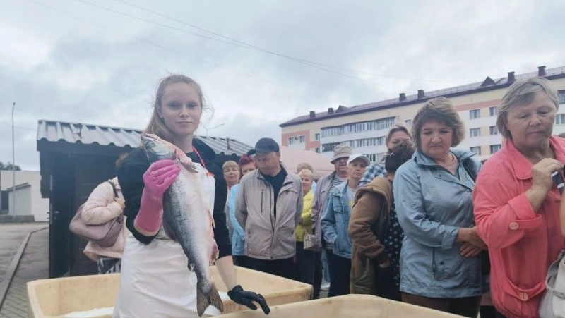 Почти 100 тонн свежей горбуши реализовали в Сахалинской области с начала 2023 года
