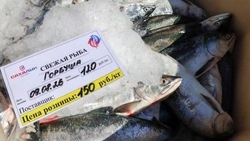 В Корсакове начали продавать свежую горбушу по социальной цене