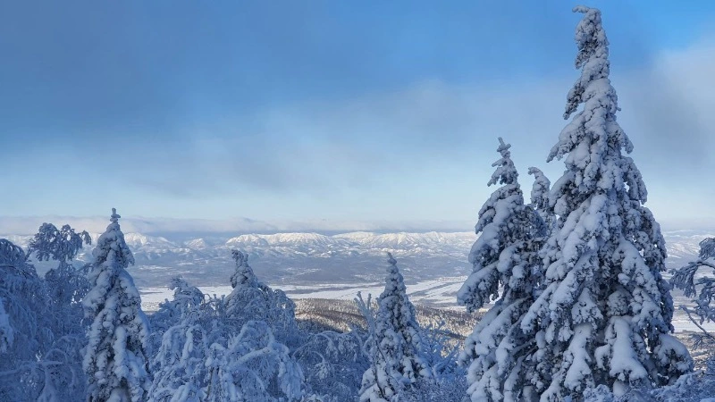 Гора Пушкинская в зимнем одеянии: красивые фотографии с острова Сахалин 