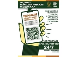 Продолжает свою работу единый федеральный чат Комитета семей воинов Отечества