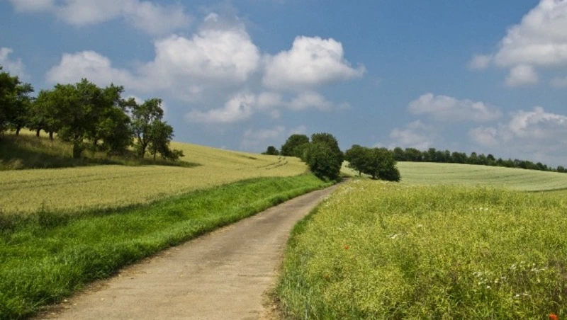 «Единая Россия» предложила сохранить бюджетную поддержку фермерских хозяйств на Дальнем Востоке