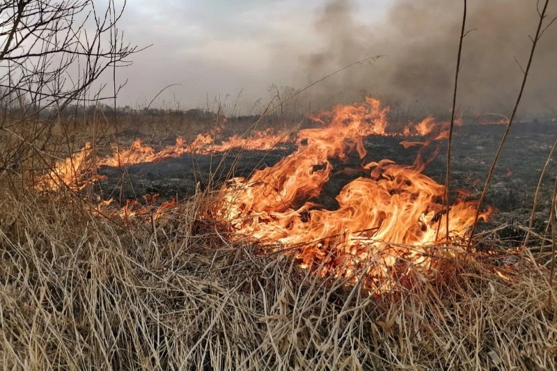 МЧС напоминает об опасности весеннего пала травы