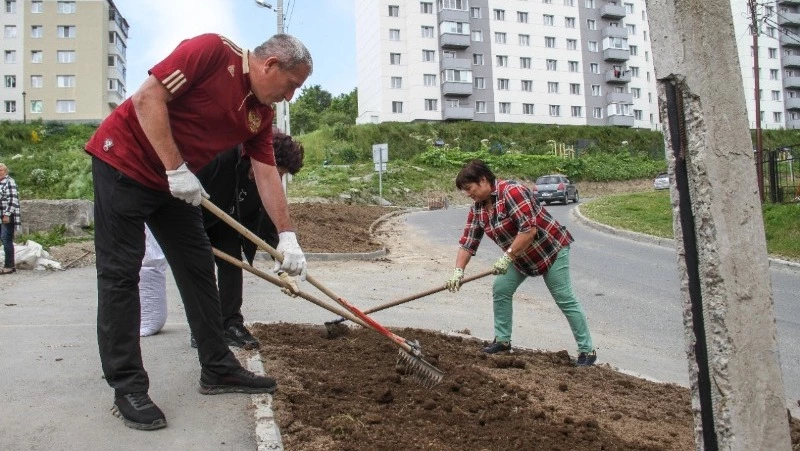 Корсаковские депутаты озеленяют город