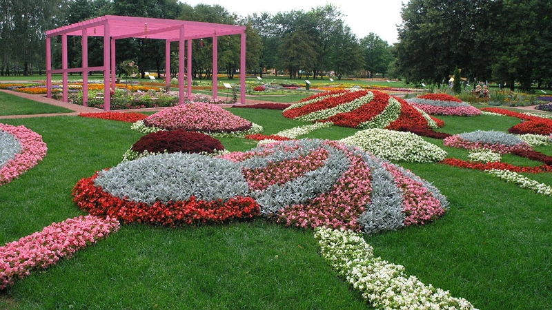 Зеленый наряд города