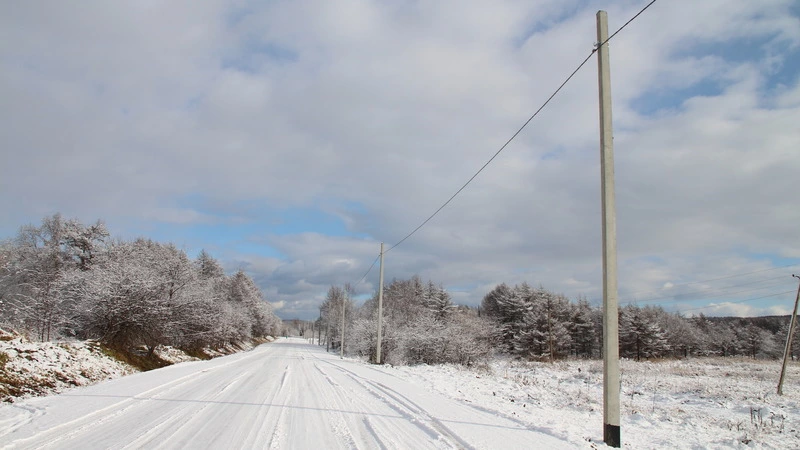 Дорога станет светлой