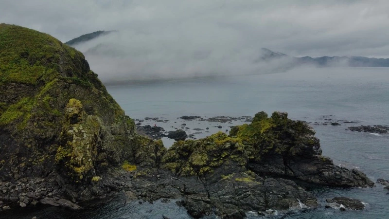 Туманный и загадочный: красивые фотографии с острова Сахалин