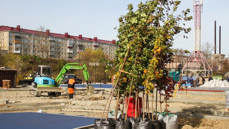 Наш двор одет в зелёный цвет