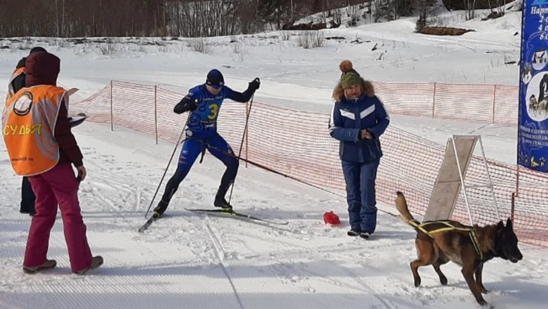 В Корсакове прошел чемпионат по ездовому спорту 