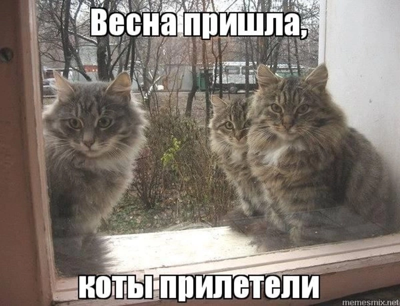 Весна пришла: смешные мемы к 1 марта