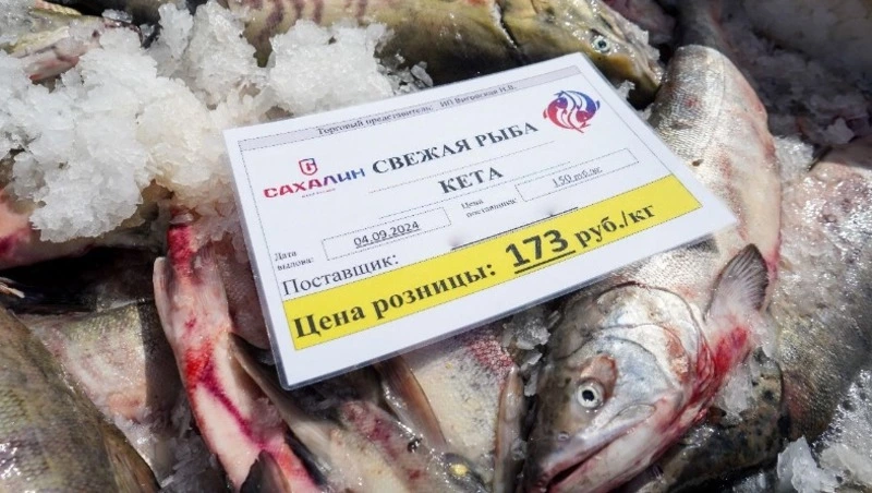 Продолжается реализация свежевыловленной рыбы по доступным ценам