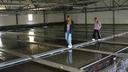 Школьники Корсакова побывали на старейшем лососевом заводе Сахалина