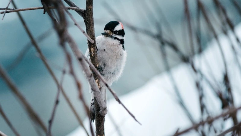 Народные приметы на 4 апреля — что нельзя делать в этот день