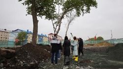Специалисты осмотрели деревья в сквере у крейсера «Новик» и на набережной Корсакова