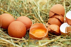 Один популярный «народный» продукт вырастет в цене к Новому году 