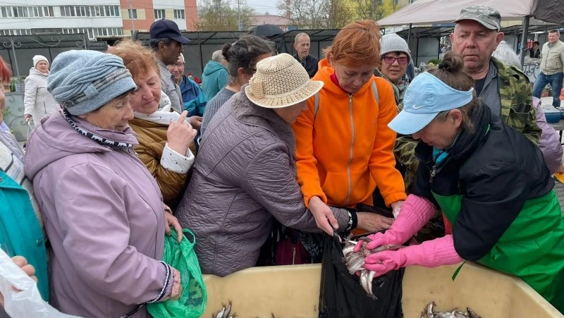 Корсаковцам бесплатно раздали две тонны мойвы