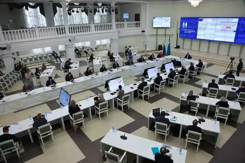 «Губернаторский контроль» проверит расчистку территорий в двух районах Сахалина