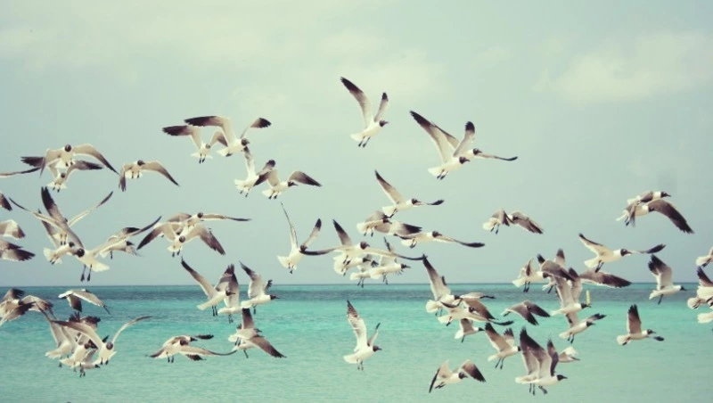 Народные приметы на 28 марта — что нельзя делать в этот день