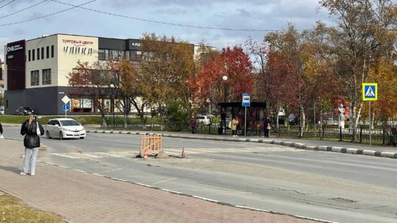 В Корсакове обустроят два пешеходных перехода