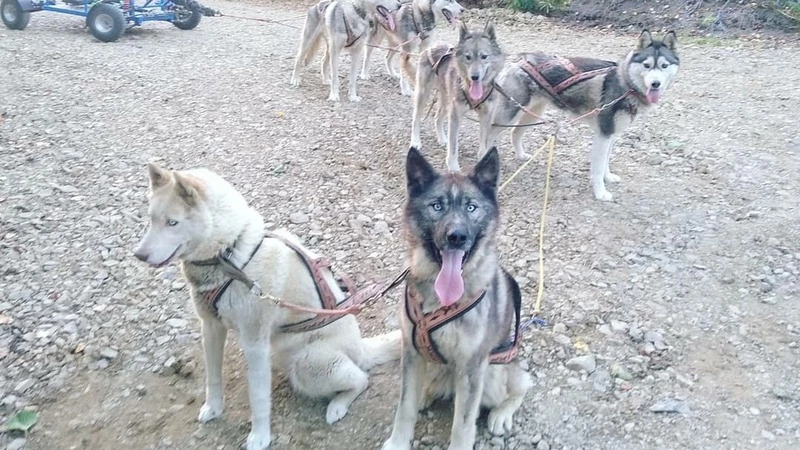 Лучшая работа – хобби