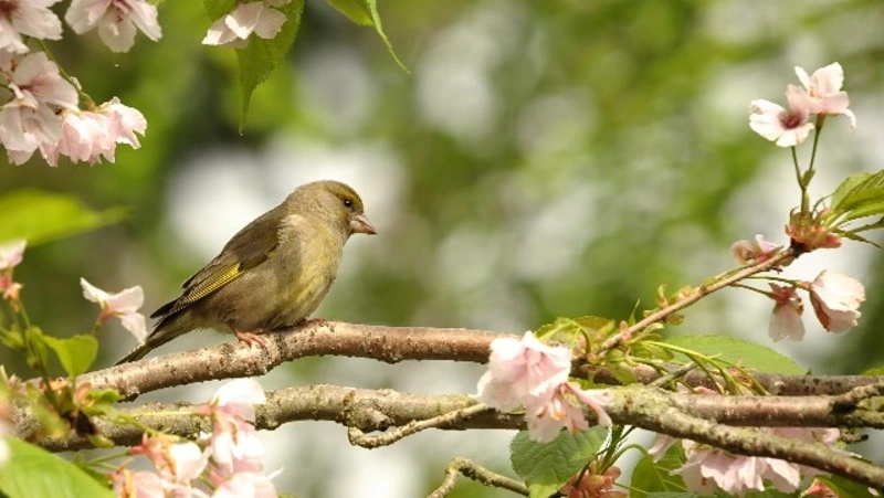 Народные приметы на 12 мая — что можно и нельзя делать в день Девяти целителей