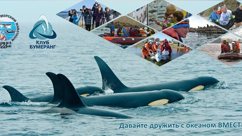 Дружба с океаном