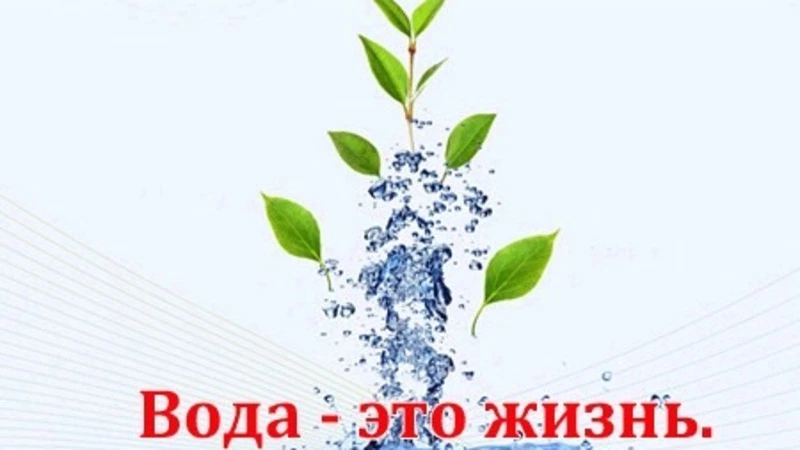 Вода в нашей жизни