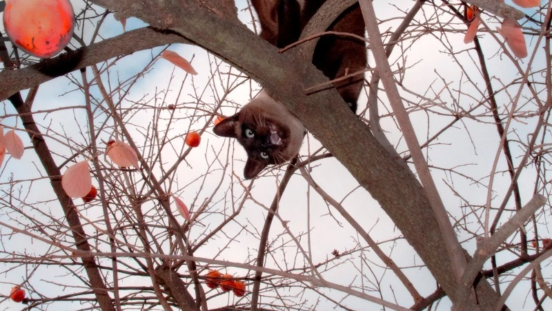 Народные приметы на 19 марта 2023 года — что нельзя делать в этот день