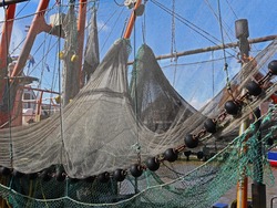 Японские рыбаки не вышли на промысел в курильских водах
