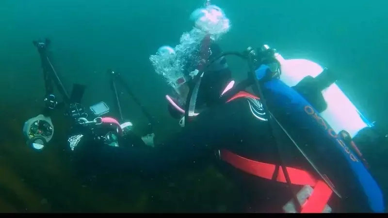 Сахалин лидирует по количеству фильмов в конкурсе «Дальний Восток — Земля приключений»