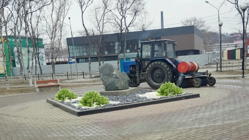 Городские цветы