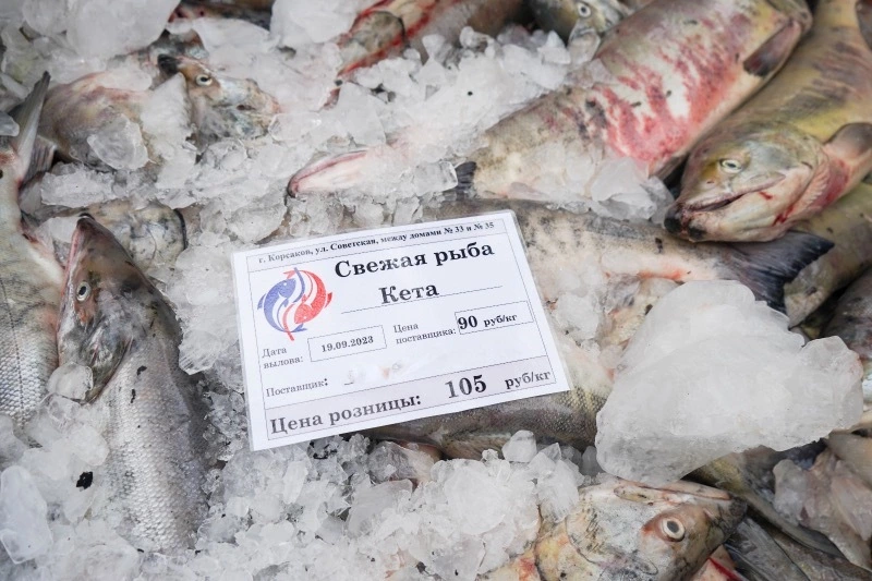 Две тонны свежей кеты раскупили жители Корсакова за два дня