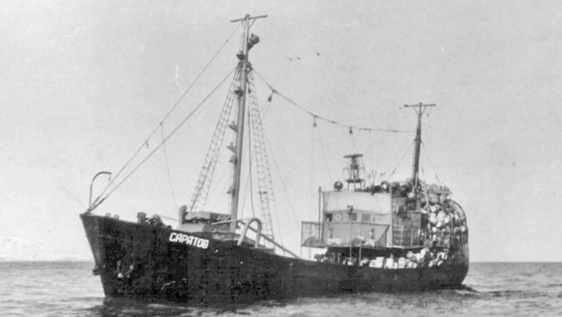 О тихоокеанской сайре и трагическом происшествии — история моряка с Сахалина
