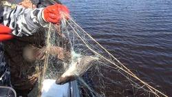 Дружинник помог задержать браконьера
