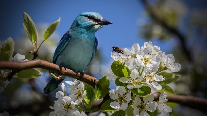 Народные приметы на 29 апреля — что можно и нельзя делать в Аринин день