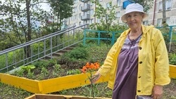 Посади свой цветок: около дома № 3/2 по Лермонтова появился цветник
