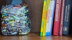 Сахалинцам рассказали, куда можно сдать опасные отхода 