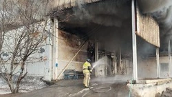 Стали известны подробности пожара в Корсакове