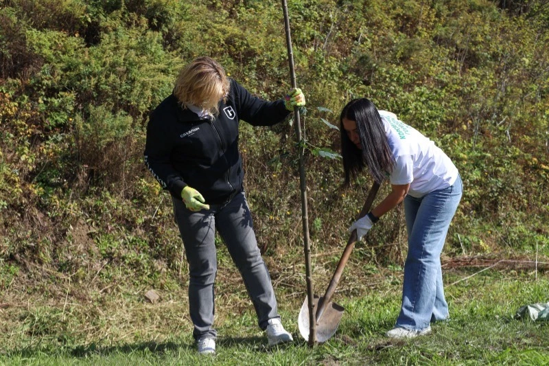 Клёнов стало больше: новая аллея украсила Вокзальную улицу в Корсакове