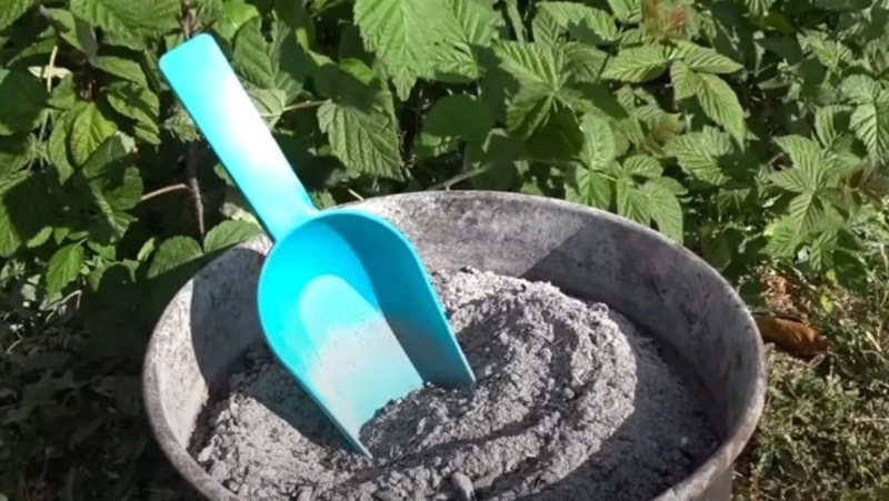 «Золушка-зола»: секреты натуральной подкормки для огорода и сада