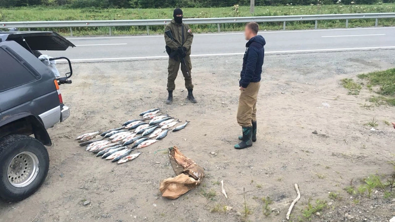 На страже закона